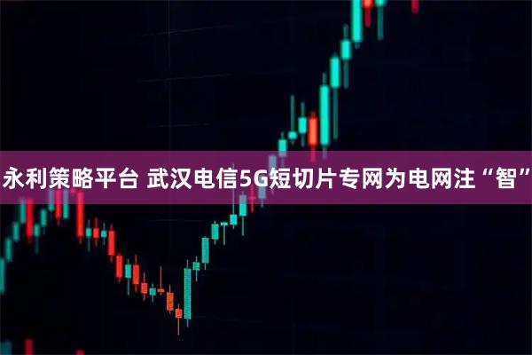 永利策略平台 武汉电信5G短切片专网为电网注“智”