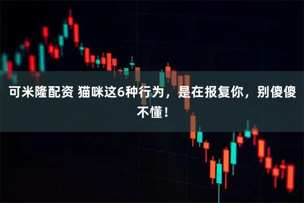 可米隆配资 猫咪这6种行为，是在报复你，别傻傻不懂！
