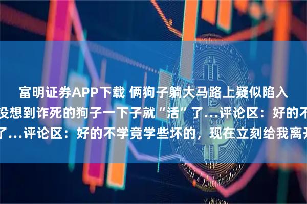 富明证券APP下载 俩狗子躺大马路上疑似陷入危险，网友开车试探，没想到诈死的狗子一下子就“活”了…评论区：好的不学竟学些坏的，现在立刻给我离开马路！